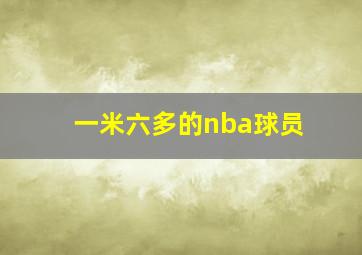 一米六多的nba球员