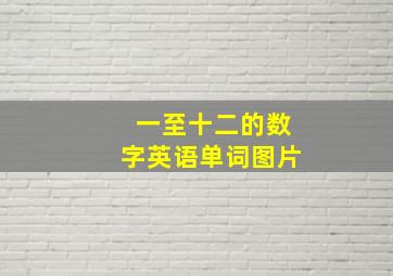 一至十二的数字英语单词图片