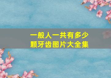 一般人一共有多少颗牙齿图片大全集