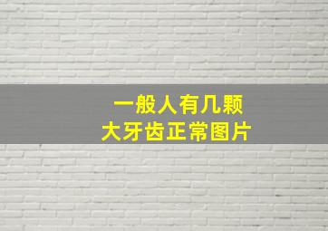 一般人有几颗大牙齿正常图片