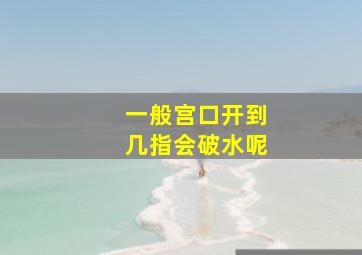 一般宫口开到几指会破水呢