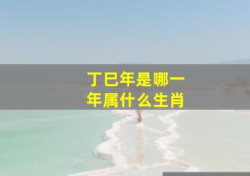 丁巳年是哪一年属什么生肖