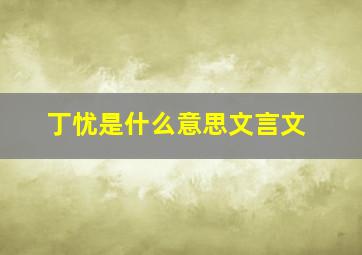 丁忧是什么意思文言文