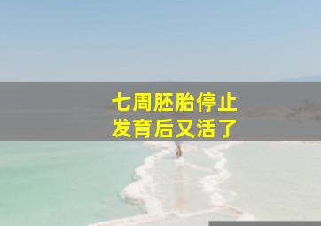 七周胚胎停止发育后又活了