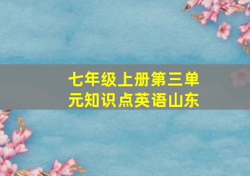 七年级上册第三单元知识点英语山东