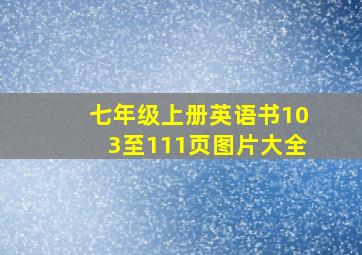 七年级上册英语书103至111页图片大全