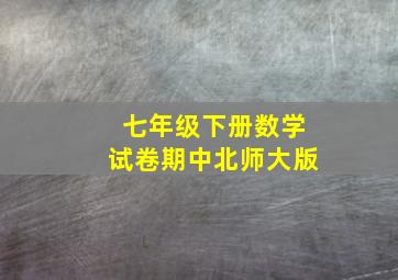 七年级下册数学试卷期中北师大版