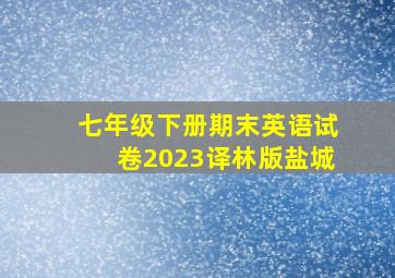 七年级下册期末英语试卷2023译林版盐城