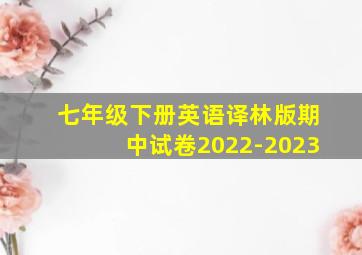 七年级下册英语译林版期中试卷2022-2023