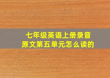 七年级英语上册录音原文第五单元怎么读的