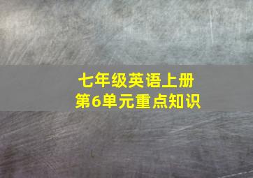 七年级英语上册第6单元重点知识