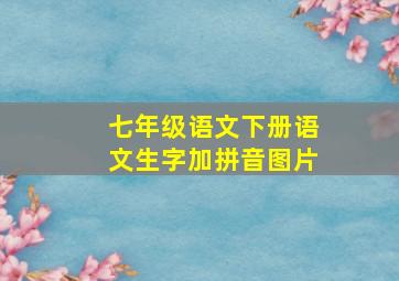 七年级语文下册语文生字加拼音图片