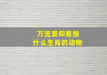 万流景仰是指什么生肖的动物