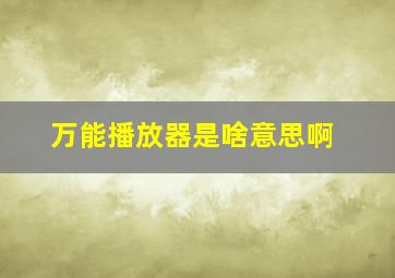 万能播放器是啥意思啊