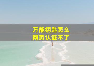 万能钥匙怎么网页认证不了