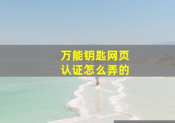 万能钥匙网页认证怎么弄的