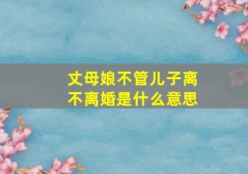 丈母娘不管儿子离不离婚是什么意思