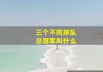 三个不同球队总冠军叫什么