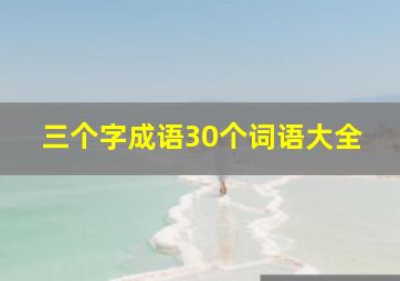 三个字成语30个词语大全