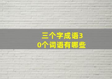 三个字成语30个词语有哪些