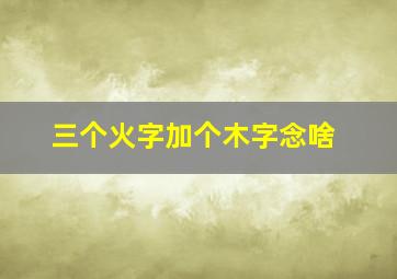 三个火字加个木字念啥