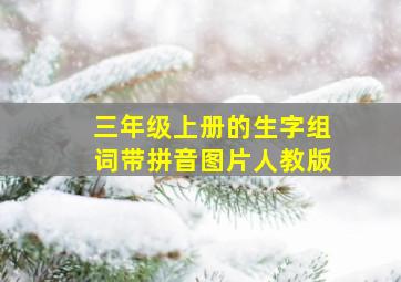 三年级上册的生字组词带拼音图片人教版