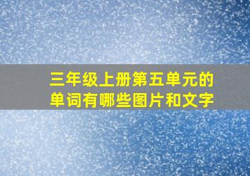 三年级上册第五单元的单词有哪些图片和文字