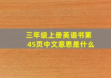 三年级上册英语书第45页中文意思是什么