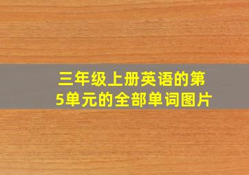 三年级上册英语的第5单元的全部单词图片