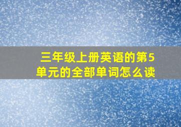 三年级上册英语的第5单元的全部单词怎么读