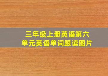 三年级上册英语第六单元英语单词跟读图片