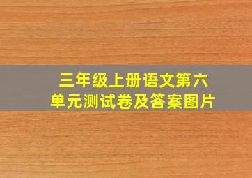 三年级上册语文第六单元测试卷及答案图片