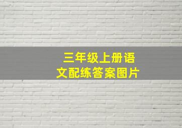 三年级上册语文配练答案图片