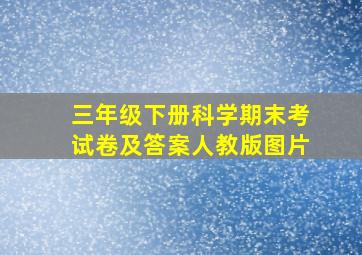 三年级下册科学期末考试卷及答案人教版图片