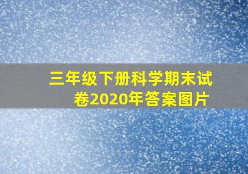 三年级下册科学期末试卷2020年答案图片