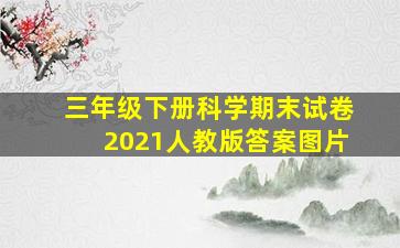 三年级下册科学期末试卷2021人教版答案图片