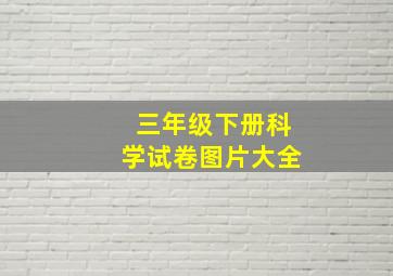 三年级下册科学试卷图片大全