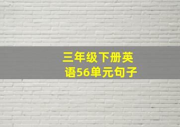 三年级下册英语56单元句子