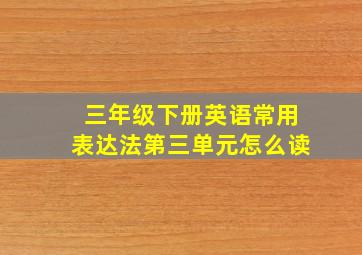 三年级下册英语常用表达法第三单元怎么读