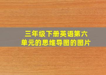 三年级下册英语第六单元的思维导图的图片