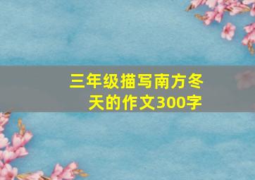 三年级描写南方冬天的作文300字