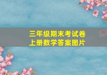 三年级期末考试卷上册数学答案图片