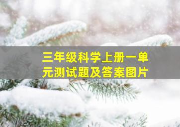 三年级科学上册一单元测试题及答案图片