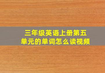 三年级英语上册第五单元的单词怎么读视频