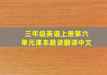 三年级英语上册第六单元课本跟读翻译中文