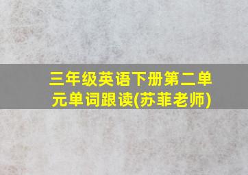 三年级英语下册第二单元单词跟读(苏菲老师)