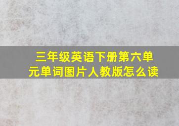 三年级英语下册第六单元单词图片人教版怎么读