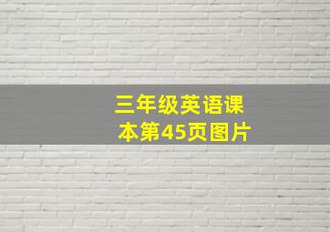 三年级英语课本第45页图片