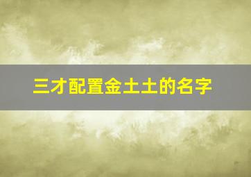 三才配置金土土的名字