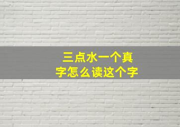 三点水一个真字怎么读这个字